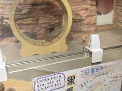 -正佳雨林生态植物园