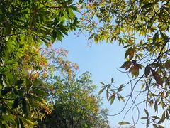 -艾溪湖湿地公园