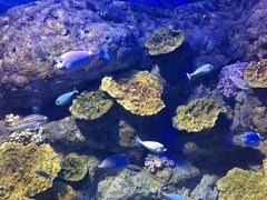 -福州罗源湾海洋世界旅游区