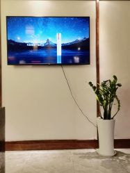 -YESIDO椰岛造型