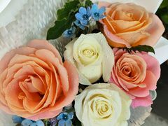 -循礼门鲜花花市(武汉循礼门店)