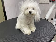 -宠颐生动物医院·小陆分院