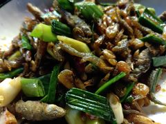 -榕江牛瘪牛肉火锅