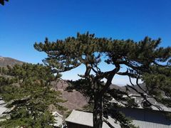 -妙峰山风景名胜区