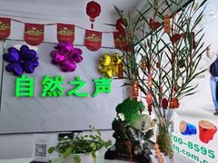 -自然之声助听器·呼吸机(东风大街店)