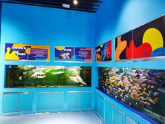-沙沙哗啦海洋馆(华宇百花谷店)