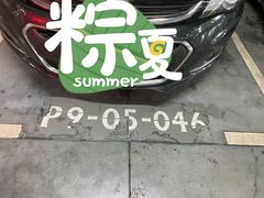 -虹桥火车站-停车场