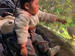 -多彩贵州城极地海洋世界