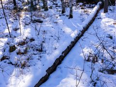-峡谷浮石林景区