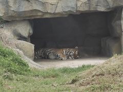 -祥源·阜阳生态乐园