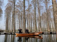 -渌洋湖湿地公园