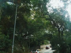 -太平山顶