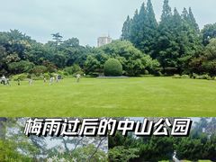 -中山公园
