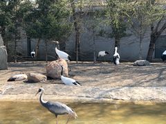 -齐齐哈尔龙沙动植物园