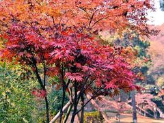 -南山风景名胜区