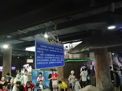 -杭州海底世界