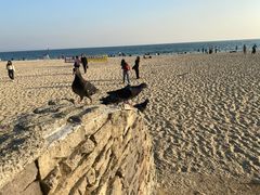 -海云台海滩