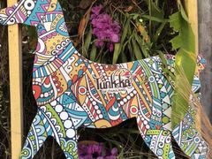 -普吉镇