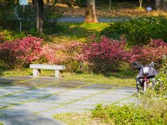 -中国科学院华南植物园