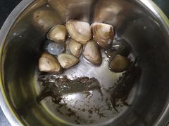 景点-南汇嘴观海公园