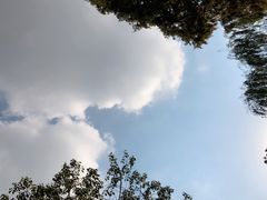 -白马涧龙池景区