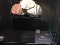 -中华赏石园