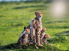 -罗红摄影艺术馆