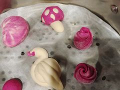 -天鹅到家·保姆月嫂育儿嫂(朝阳店)