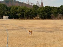 -上海月湖雕塑公园