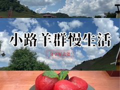 -关山草原