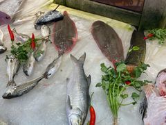 -御同亨酒楼·喜宴