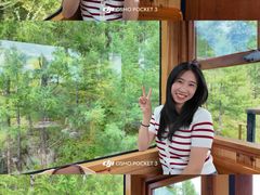 -莫尔道嘎国家森林公园