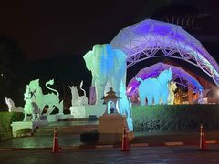 -清迈夜间动物园