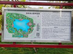 -莲花池公园