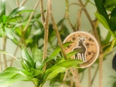 -一尺花园(安和花园店)