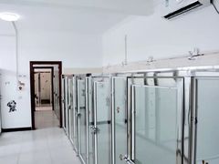 -北京京卫宠物寄养训练中心