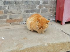 -大钟寺古钟博物馆