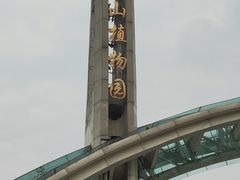 -南山植物园