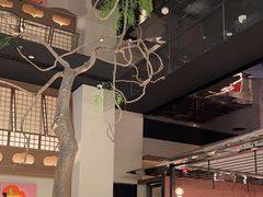 -桂满陇·海市蜃楼·黑金(国金店)