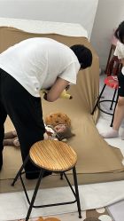 -倾城宝贝儿童摄影(新辰里酒仙桥店)