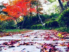 -崂山巨峰游览区
