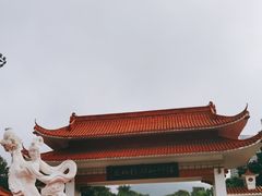 -深圳仙湖植物园