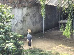 -西霞口神雕山野生动物世界