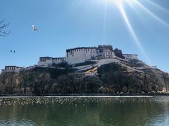 -宗角禄康公园