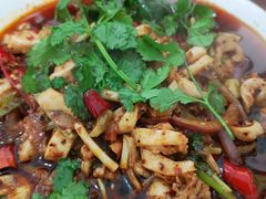 -小杨翘脚牛肉