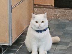 -彳亍咖啡·这里(水湾路店)
