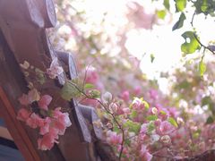 -深圳国际园林花卉博览园