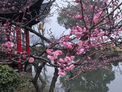 -杭州西湖柳莺里酒店