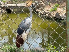 -石家庄市动物园