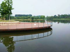 -东郊湿地公园
